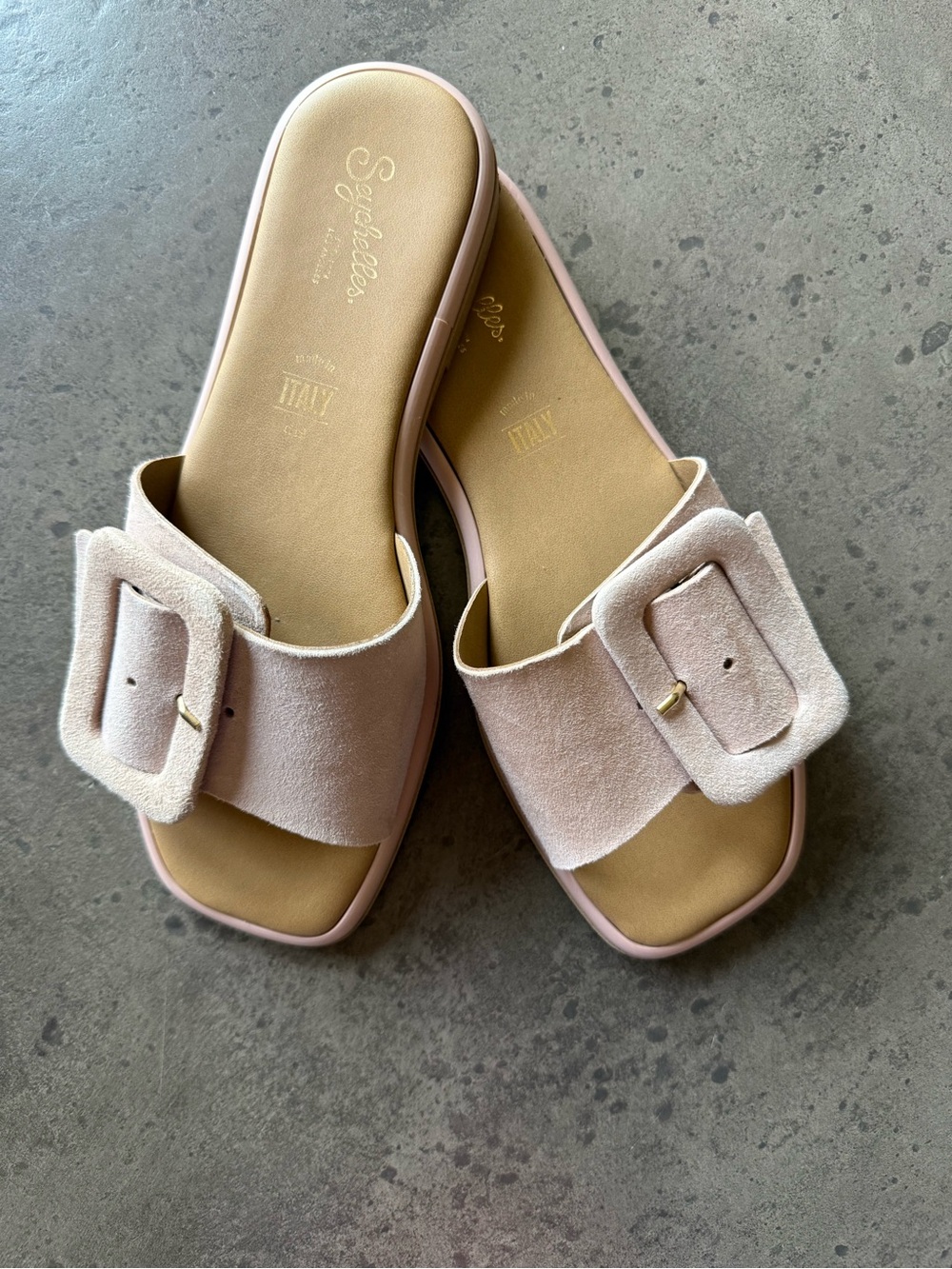 Seychelles Blush Suede Slide Sandals with Buckle